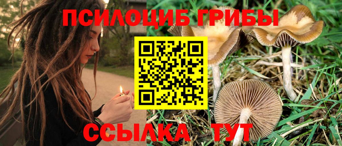 Галлюциногенные грибы мухоморы Советск
