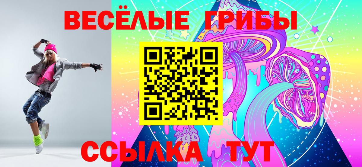 Галлюциногенные грибы Psilocybe  Галлюциногенные грибы Psilocybe  как найти   Советск  Вход с VPN 