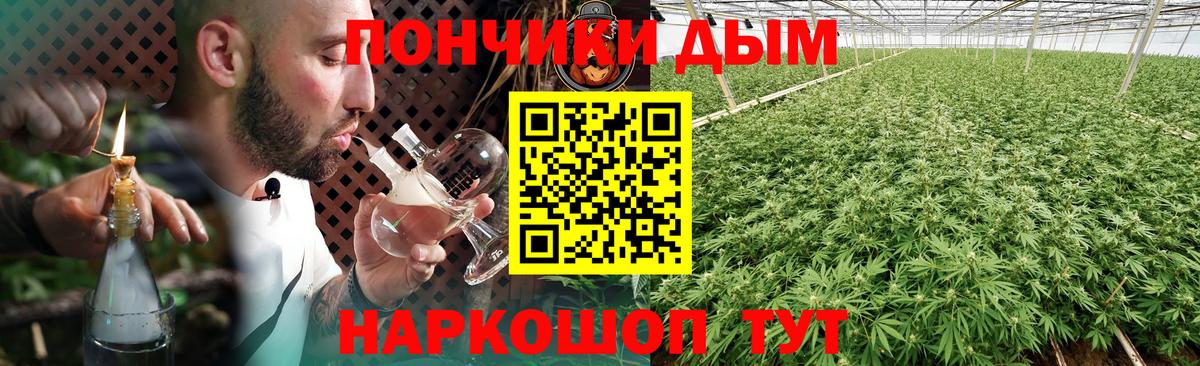 МАРИХУАНА конопля Советск